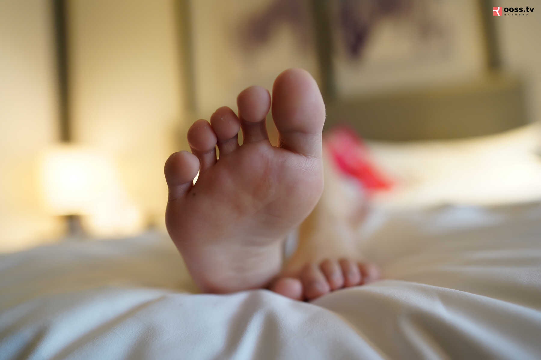 ROSI写真-No.2810 [33P]